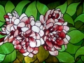 Dahlia Window