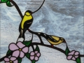 Finch Window